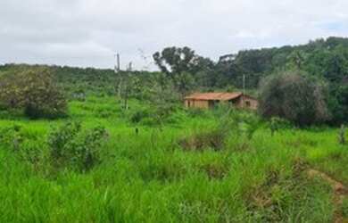 Imagem: A fazenda está localizado em Tocantinópolis, TO à venda por