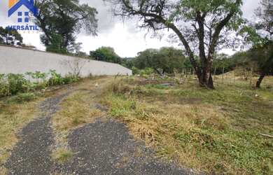 Imagem 4: Terreno à venda, 2060 m² por R$ 799.900,00 - São Gabriel - Colombo/PR