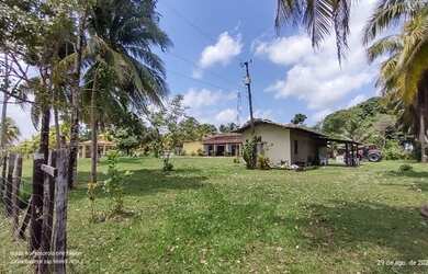 Imagem 11: R$8 milhões fazenda desativada com 216 alqueires 70 aberta