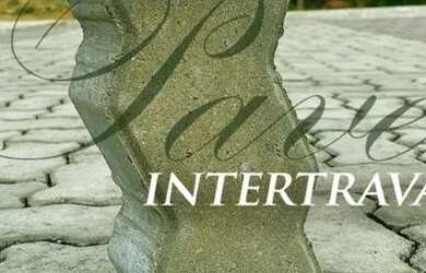 Imagem: O terreno possui 999m² de Área e está localizado em Tarumã