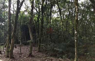 Imagem: O terreno possui 320.454m² de Área e está localizado em