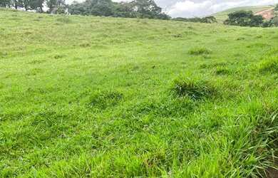 Imagem: O terreno possui 600m² de Área e está localizado em Centro