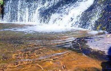 Imagem 7: GATANRA JÁ SEU TERRENO