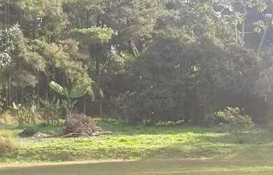 Imagem 9: SÍTIO - SÍTIO DO MORRO - SP