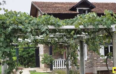 Imagem 5: Sítio / Chácara para Venda em Nova Petrópolis, Pinhal Alto, 6 dormitórios,...