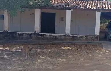 Imagem 2: Fazenda. 250.000.000m² de Área