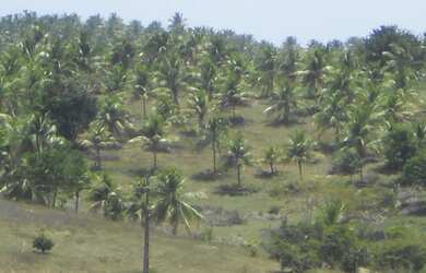 Imagem: A fazenda possui 2.870.000m² de Área e está localizado em
