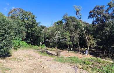 Imagem 3: Terreno à venda São Victor COHAB Caxias do Sul/RS