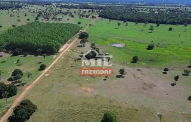 Imagem 6: Fazenda 197 alqueires 953,48 hectares Novo Brasil - Go