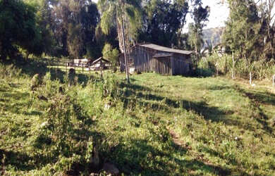 Imagem 1: Sítio Igrejinha 3 Ha Contendo uma casa de alvenaria por apenas R$500mil