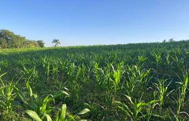 Imagem 4: Terreno em Ibiúna com Fácil Acesso a Capital de SP