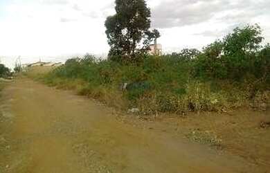 Imagem 4: Terreno - Jardim Hikari. 150m² de Área