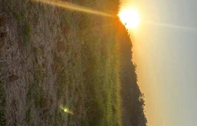 Imagem 4: Lote para venda tem 500 metros quadrados em Jardim Bela Vista - São José...