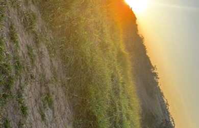 Imagem 5: Lote para venda tem 500 metros quadrados em Jardim Bela Vista - São José...