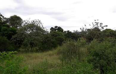 Imagem: O terreno possui 360m² de Área e está localizado em Vila