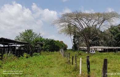 Imagem 4: R$8 milhões fazenda desativada com 216 alqueires 70 aberta