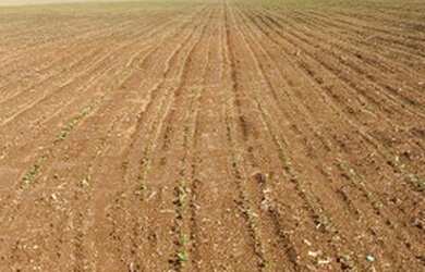 Imagem: A fazenda está localizado em Niquelândia, GO à venda por