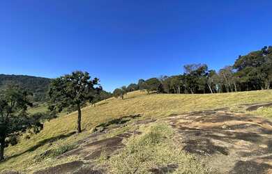 Imagem 12: Terreno à venda, 111000 m² por R$ 690.000,00 - Centro - Toledo/MG