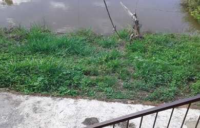 Imagem: A fazenda possui 92.000m² de Área e está localizado em Ouro