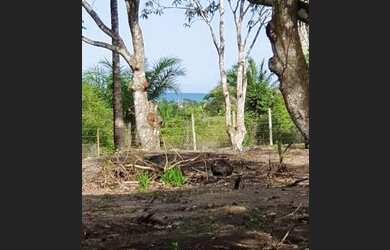 Imagem 9: Terreno para Venda em Porto Seguro, Caraiva
