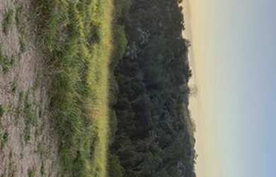 Imagem 3: Lote para venda tem 500 metros quadrados em Jardim Bela Vista - São José...