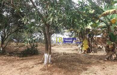 Imagem 11: TERRENO EM SAO JOAQUIM DE BICAS