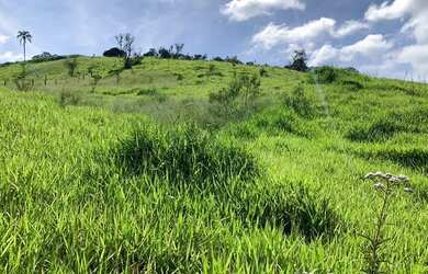 Imagem 8: 500M² Á VENDA EM PROMOÇÃO