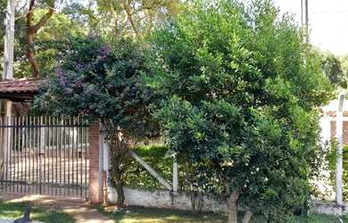 Imagem 2: Casa ao lado da escola no Costa Azul