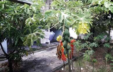 Imagem 14: Casa. Varanda, 3m² de Área, 3 Vagas na garageme3 Dormitórios