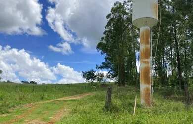 Imagem 3: FAZENDA A VENDA À APENAS 5 KM DO EMPÓRIO CASARÃO BR 060 Fazenda à...