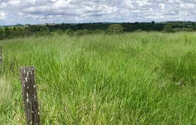 Imagem 6: FAZENDA A VENDA À APENAS 5 KM DO EMPÓRIO CASARÃO BR 060 Fazenda à...