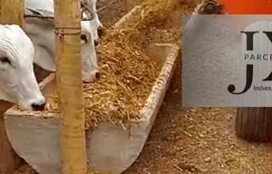 Imagem 12: Fazenda em Andrequicé. Churrasqueira, Varandae900.000.000m² de Área