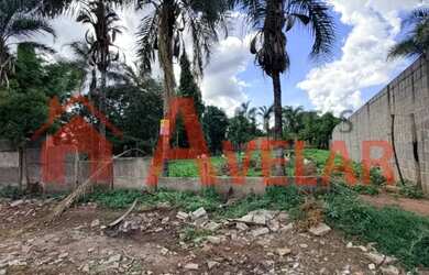 Imagem 4: Terreno para venda, Morada Nova, Uberlândia - TE1253