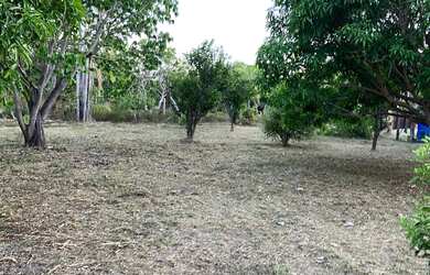 Imagem 12: Vendo, troco e negocio sítio no BOM INTENTO