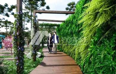 Imagem 6: APARTAMENTO 2 DORMITÓRIOS NO CENTRO DE GRAMADO