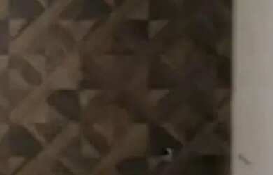 Imagem 5: APARTAMENTO - TATUAPÉ - SP