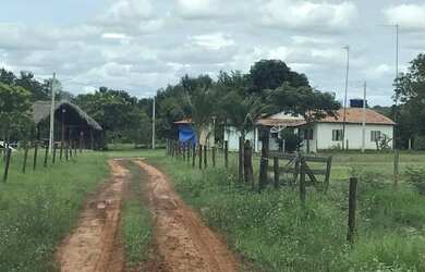 Imagem 4: Fazenda 42 alqueires. 42m² de Área Privada