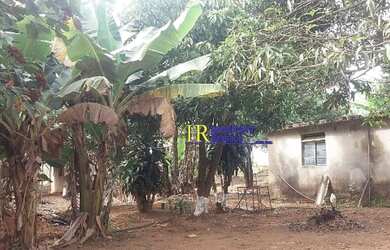 Imagem 6: TERRENO EM SAO JOAQUIM DE BICAS