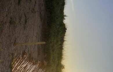 Imagem 2: Lote para venda tem 500 metros quadrados em Jardim Bela Vista - São José...