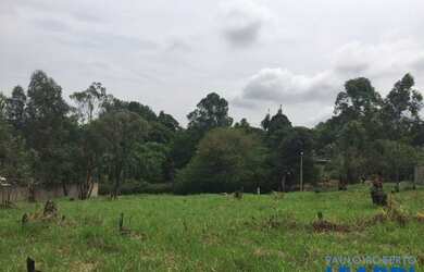 Imagem 5: TERRENO - COUNTRY CLUB - SP