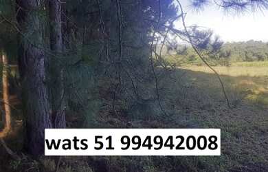 Imagem: A fazenda possui Imóvel novo e está localizado em Centro