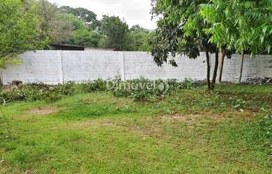 Imagem: A fazenda possui 200m² de Área e está localizado em Belém