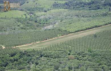 Imagem: A fazenda possui 10m² de Área e está localizado em Una
