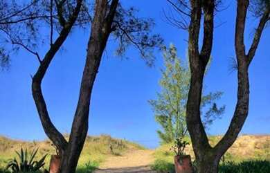 Imagem 12: Terreno à venda no Balneário Figueirinha na Praia de Arroio do Sal/RS