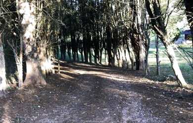 Imagem 9: Lote/Terreno para venda com 999 metros quadrados em Veleiros de Ibiúna - Ibiúna - São Paul