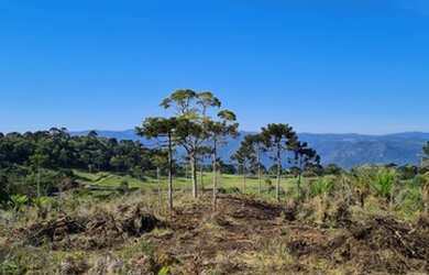 Imagem: A fazenda está localizado em Urubici, SC à venda por R$280.000