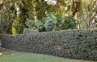 Imagem 4: Casa ao lado da escola no Costa Azul