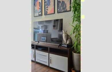 Imagem 15: APARTAMENTO RESIDENCIAL em São Paulo - SP, Alto da Boa Vista