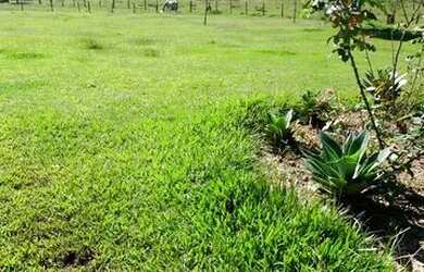 Imagem: O terreno possui 600m² de Área e está localizado em Centro