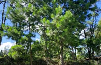 Imagem: O terreno possui 432m² de Área e está localizado em Carniel